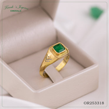 Anillo Caballero V - OR253318