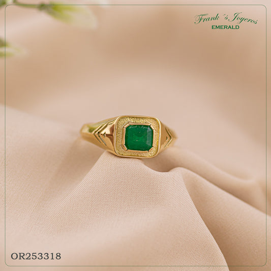 Anillo Caballero V - OR253318